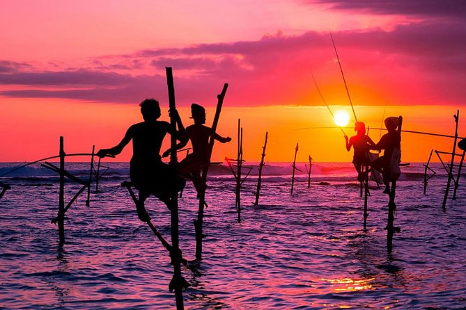 03 Nights in Amazing Sri Lanka - Colombo start: clean handoff from the airport