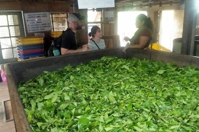 03 Nights in Amazing Sri Lanka - The driver-guide factor: why names like Indika and Vikum matter