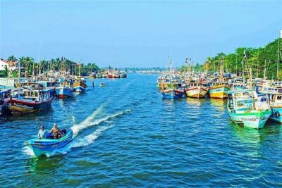 08 Nights in Magical Sri Lanka - Negombo morning rituals: fish market, Dutch tunnel lagoon rides, and village life