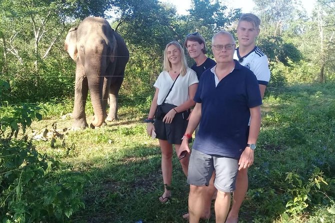 08 Nights in Magical Sri Lanka - Dambulla caves and spices: temple awe plus the practical Sri Lanka