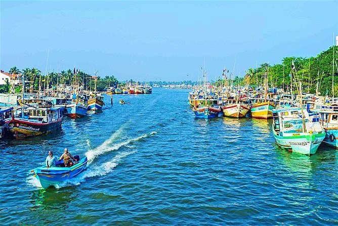 08 Nights in Magical Sri Lanka - Negombo morning rituals: fish market, Dutch tunnel lagoon rides, and village life