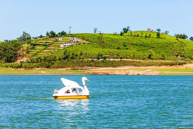 09 Days in Sri lanka - Major Attractions - Day 9: Private Transfer Back to Colombo and Your Flight