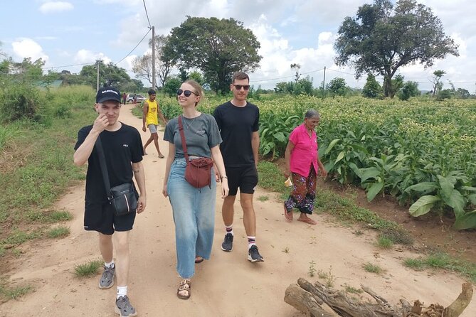 4 Days Amaizing Classic Mini Tour Sri Lanka - Key moments that make this tour work