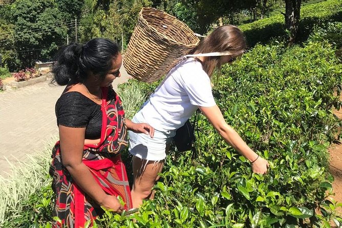5 Days Tour in Sri Lanka (Hotels with Breakfast & Luxury Car) - Ella viewpoint time: Little Adam’s Peak, Ravana Falls, and a 10th-century temple stop