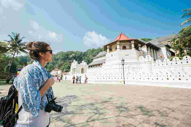 6-Day Sri Lanka Heritage Private Tour - Dambulla Cave Temple and the Spice Garden Break