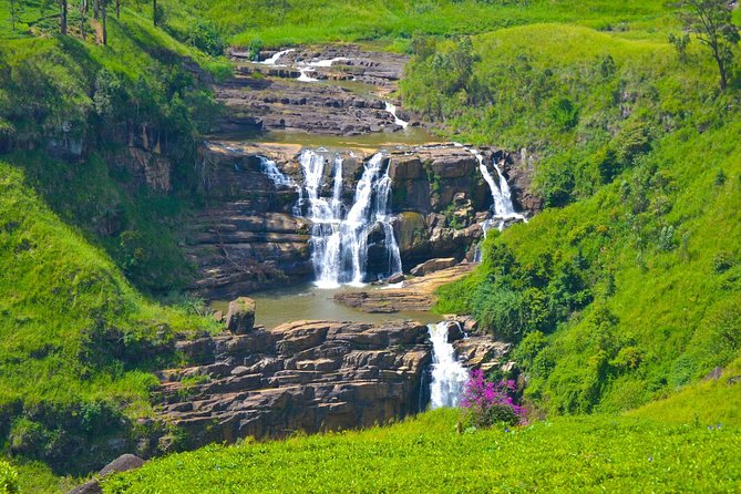 6-Day Sri Lanka Heritage Private Tour - Peradeniya Botanical Gardens: A Long Walk That Feels Worth It