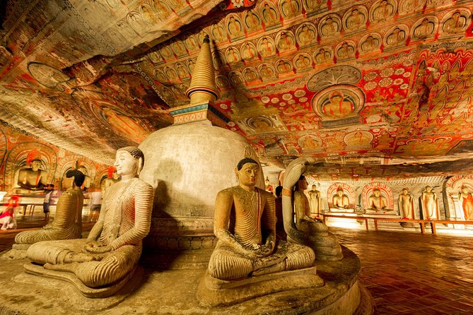 6-Day Sri Lanka Heritage Private Tour - Tea Plantation and Pedro Tea Factory: How the Hills Taste