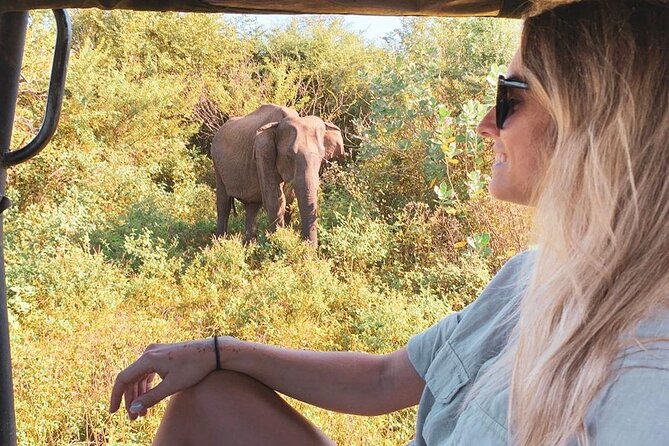 7 Days Tour in Sri Lanka Hotels with Breakfast and Luxury Car - Key highlights that make this week feel worth it