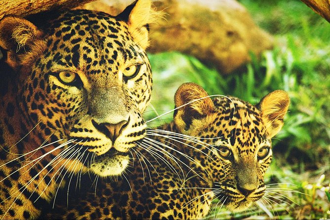 All in one Sri lanka 7nights 8 days for couple price - Sigiriya: The Stop You’ll Remember for the Rest of the Trip