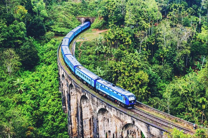 All in one Sri lanka 7nights 8 days for couple price - Colombo: Starting from the Capital, Ending With a Real Feel