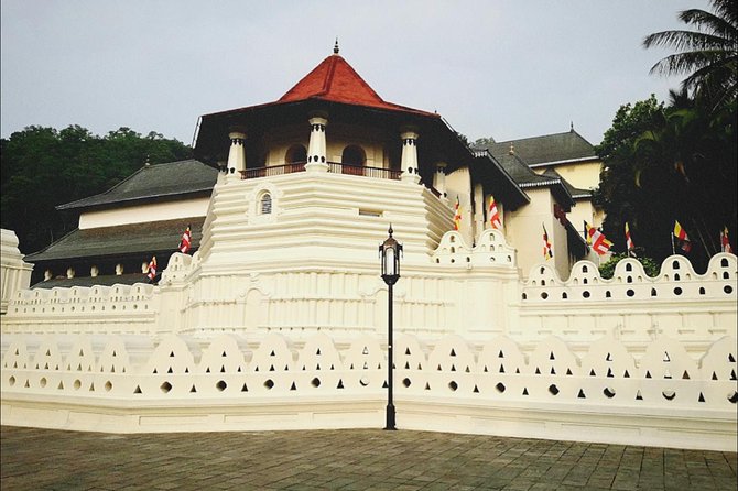 All in one Sri lanka 7nights 8 days for couple price - 7:00am Start and the Comfort Factor That Changes Everything