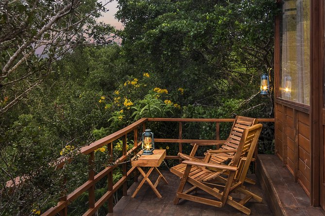 All Inclusive Leopard Nest Treehouse Safari in Yala - Getting picked up and the ride to Leopard Nest