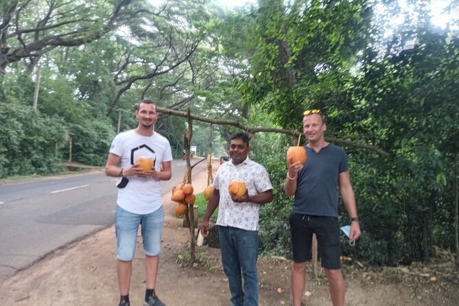 All inclusive Private day trip Sigiriya and Dambulla caves with more - Lunch at Ariya Restaurant in Dambulla: what to expect from the meal plan