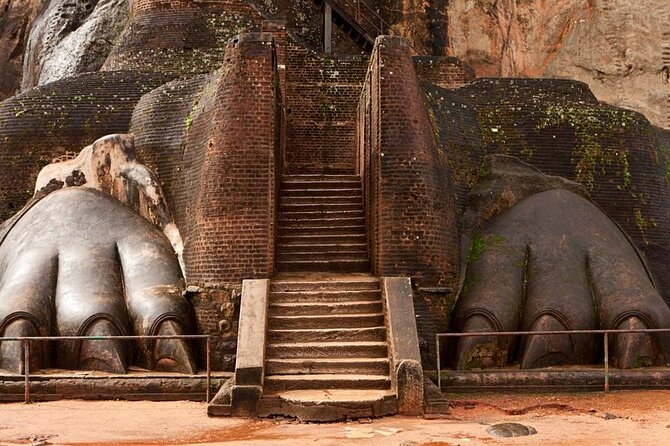 All-inclusive Sigiriya, Dambulla and Wildlife Safari from Colombo - Hurulu Eco Park Safari: The Asian Elephant Focus