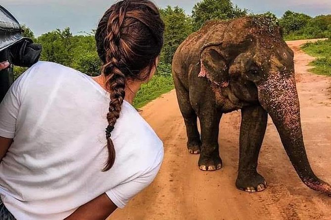 Best Of Sri lanka Tour (06 Days 05 Nights) - Kandy- N.Eliya -Bentota-Colombo - Key highlights to watch for