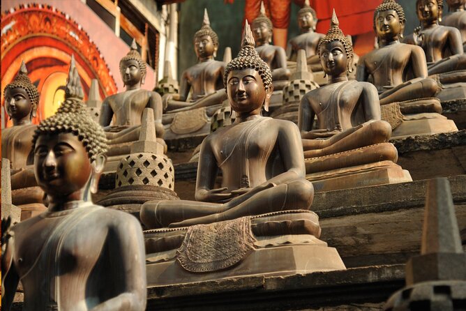 Colombo city tour by car ( Private ) - Diyatha Uyana: nature and a lake that slows everything down