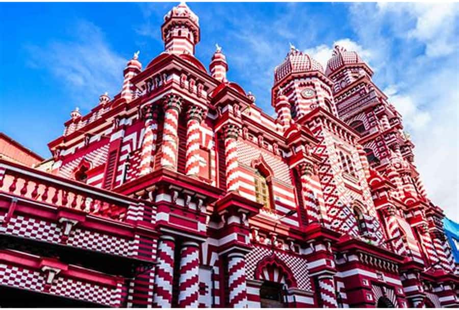 Colombo: Private Guided Tour of the City by Tuk-Tuk - Timing, comfort, and what to do about food