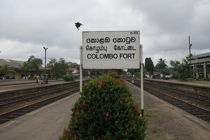 Colombo to Kandy Train Tickets (Reserved Seats) - Timings You Can Choose: 7:00 am or 3:30 pm