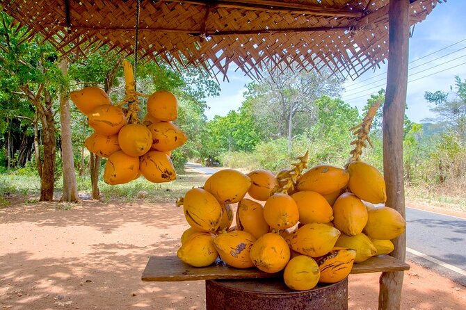 Colombo Tuk Tuk Adventure Explore Food & Culture - Price and what you’ll likely pay extra