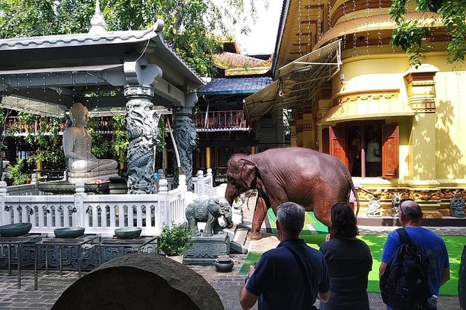 Colombo TUK TUK CITY Tours -Sightseeing Entry Fees - Should you book this Colombo tuk-tuk tour?