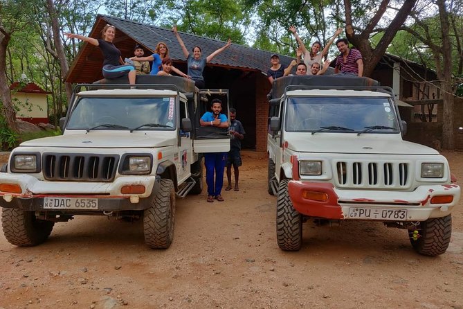 Dambulla & Sigiriya Day Tour from Colombo / Negombo with Lunch - Stop 3: Minneriya National Park and the Elephant Safari Option
