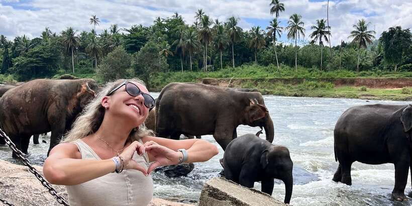 Day Tour to Elephant Orphanage / spice garden - Spice garden add-on: what to confirm before you book