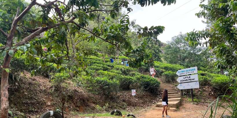 Discover the Best of Sri Lanka in 2 Days - Day 1: Ravana Falls, the Train to Ella, and Tea Country Timing