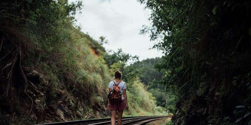Ella: Tea Factory, Train, and Nine Arch Day Tour with Pickup - Key things I’d bet on