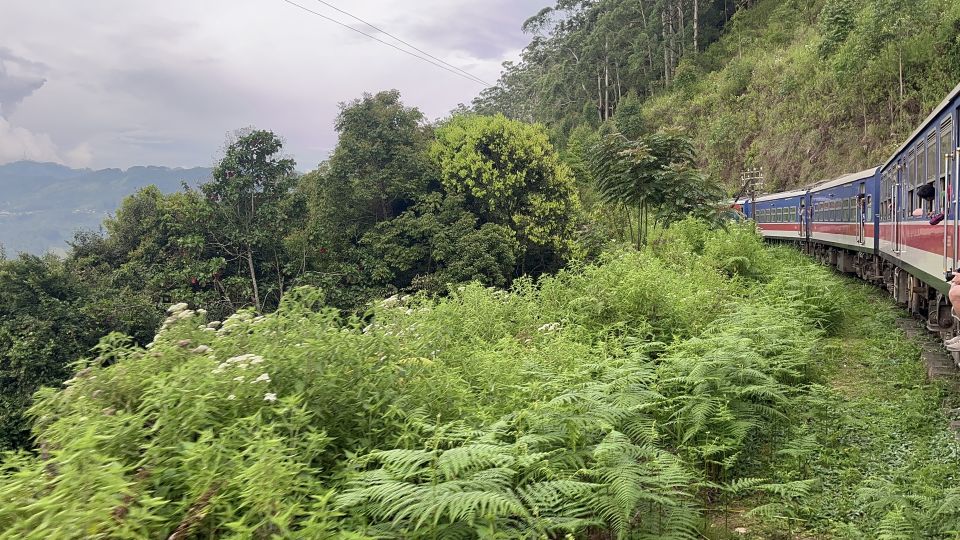 Ella: Tea Factory, Train, and Nine Arch Day Tour with Pickup - Ravana Pool Club: the reset stop that keeps the day from breaking you