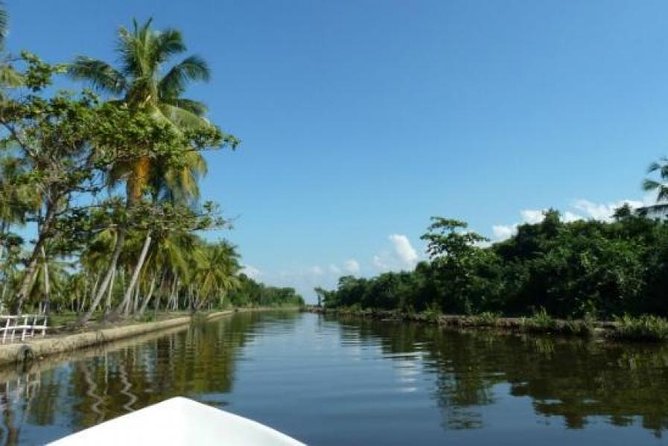 Exclusive: Muthurajawela Bird Watching Tour with Transfers - Key points worth knowing before you go