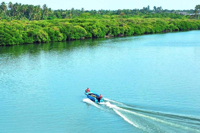 Exclusive: Muthurajawela Bird Watching Tour with Transfers - Who should book this tour (and who might pass)