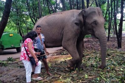 Explore Colombo by Tuk Tuk Morning & evening (Private Tours) - Red Mosque to Gangaramaya Temple: how religion shapes Colombo streets