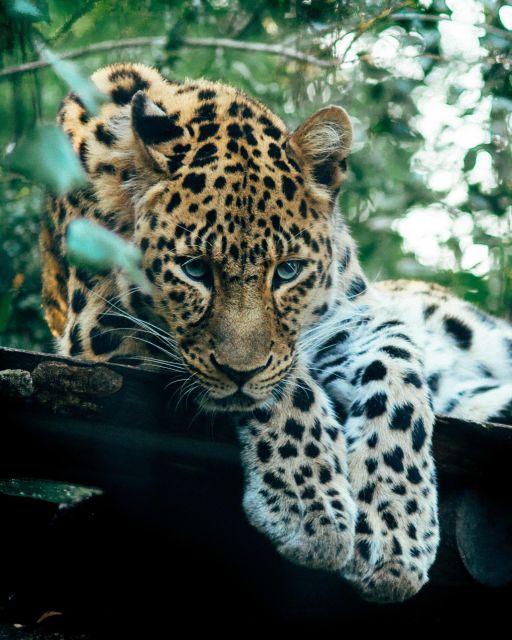Explore the MAGIC of Sri Lanka in 7days -4 Star hotels Incl. - Day 7: Mirissa and Weligama beach time, Galle Fort, then Bentota River Safari