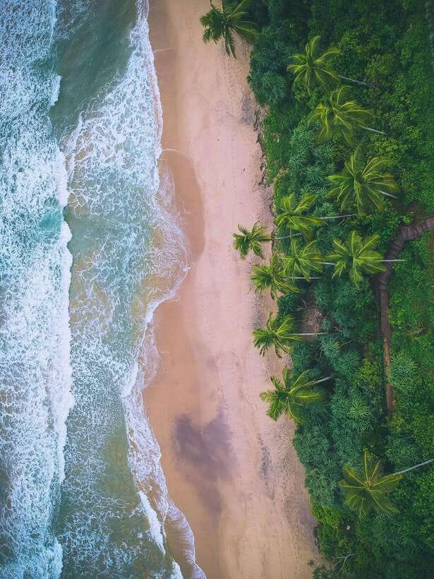 Explore the MAGIC of Sri Lanka in 7days -4 Star hotels Incl. - Day 2: Sigiriya, Dambulla caves, and the market stop that grounds it