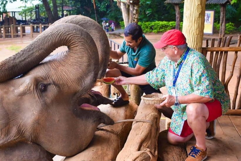 From Colombo: Kandy and Pinnawala Orphanage Short Excursions - Small logistics that make a big difference