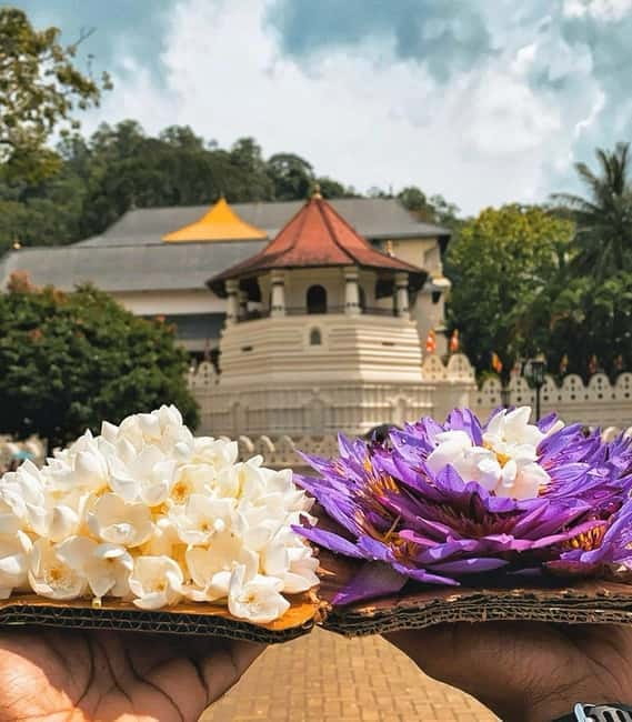 From Colombo: Kandy and Pinnawala Orphanage Short Excursions - Artisan crafts in Kandy: souvenirs are the point, but you can still learn