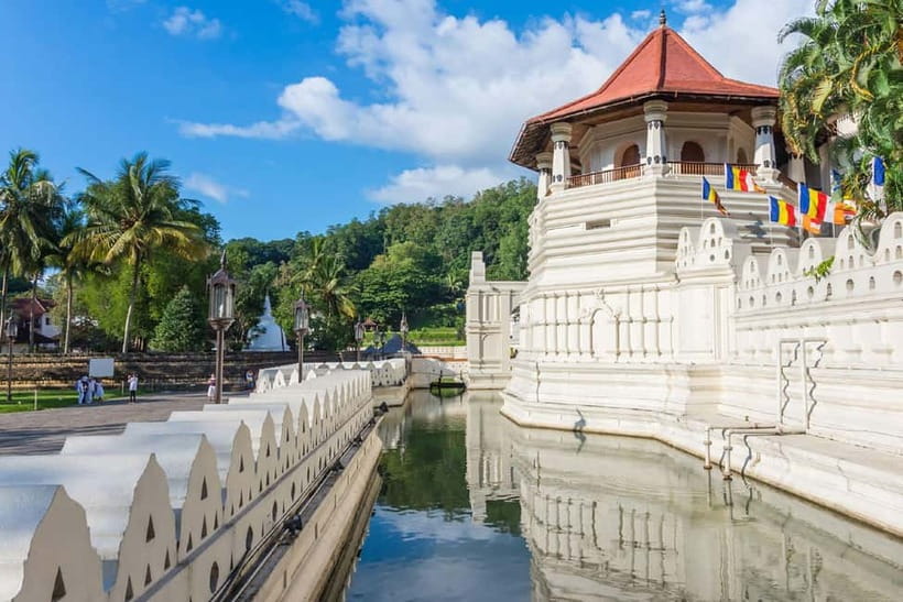 From Colombo: Kandy and Pinnawala Orphanage Short Excursions - Peradeniya Royal Botanical Gardens: a 147-acre walking day