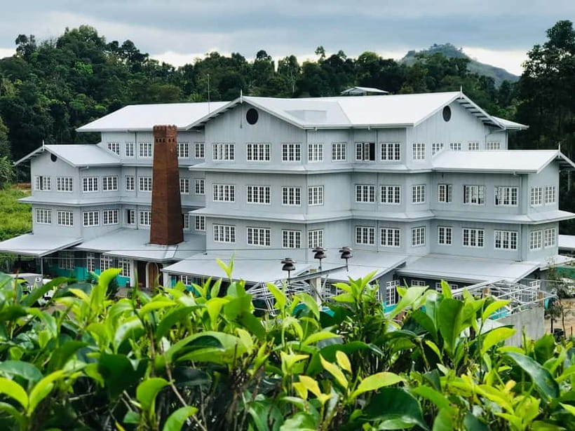 From Colombo: Kandy and Pinnawala Orphanage Short Excursions - Ceylon tea tasting and the herbal/spice garden walk