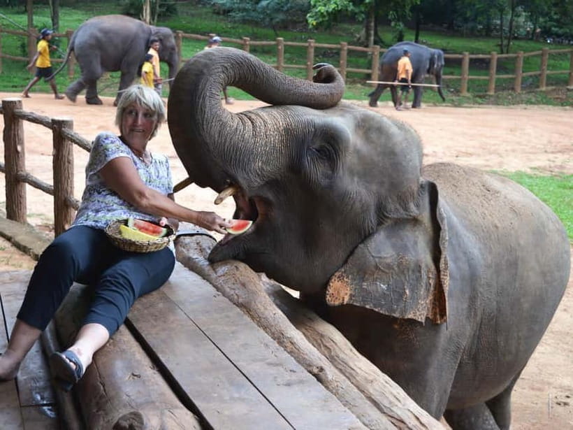 From Colombo: Kandy and Pinnawala Orphanage Short Excursions - Price and what the $75 per person really buys