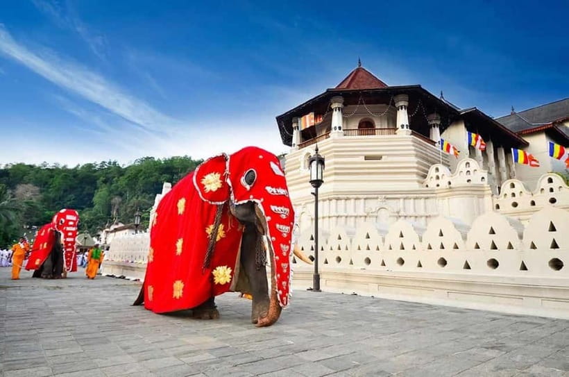 From Colombo: Kandy, Pinnawala and Tea Factory Full-Day Trip - A One-Day Kandy Loop From Colombo (With a Morning-Start Feel)