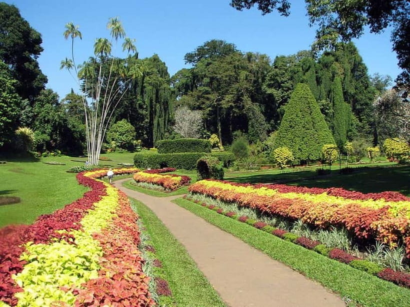 From Colombo: Kandy, Pinnawala and Tea Factory Full-Day Trip - The Temple of the Sacred Tooth Relic: UNESCO, Sacred Rules, and a Practical Way to Visit