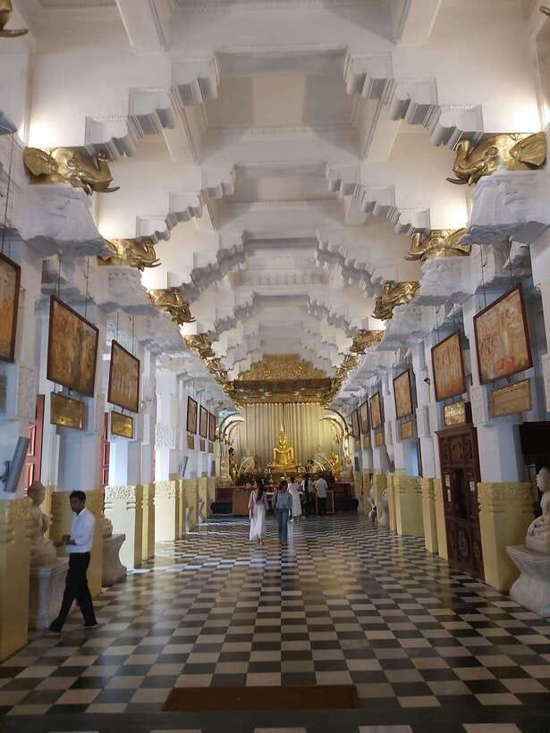 From Colombo: Kandy Temples and Pinnawala Full-Day Tour - Tea Factory in Pilimathalawa: From Leaves to a Cup You Can Taste