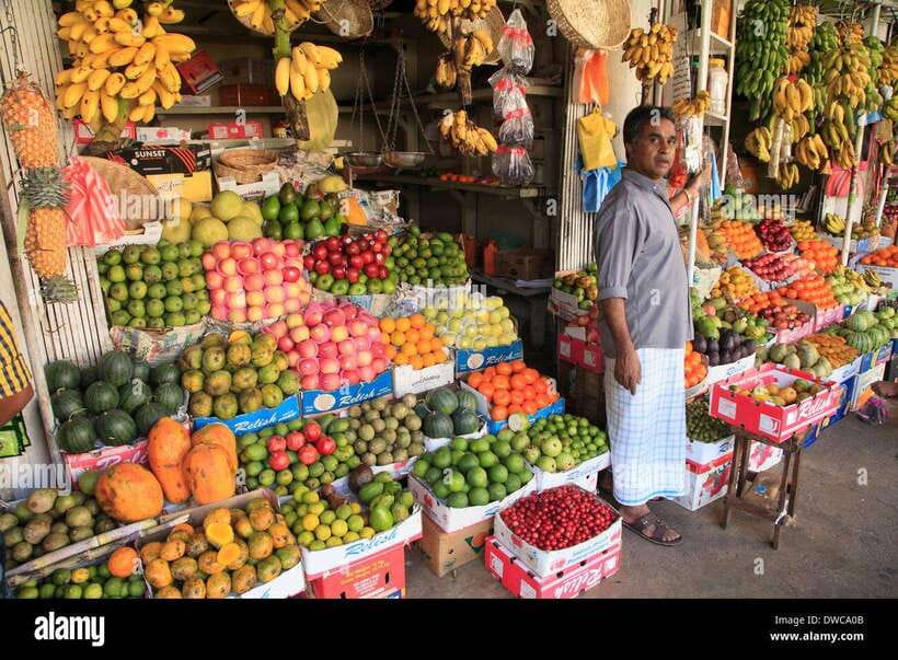 From Colombo: Kandy Temples and Pinnawala Full-Day Tour - Key highlights worth your attention