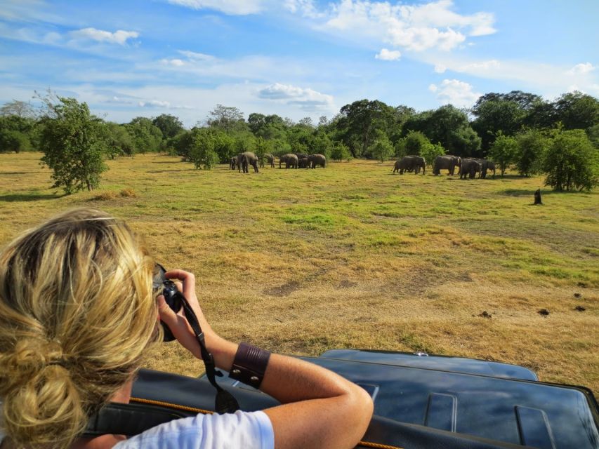 From Colombo: Private Minneriya National Park Day Safari - Lunch at a local restaurant: what to expect, and what to plan for