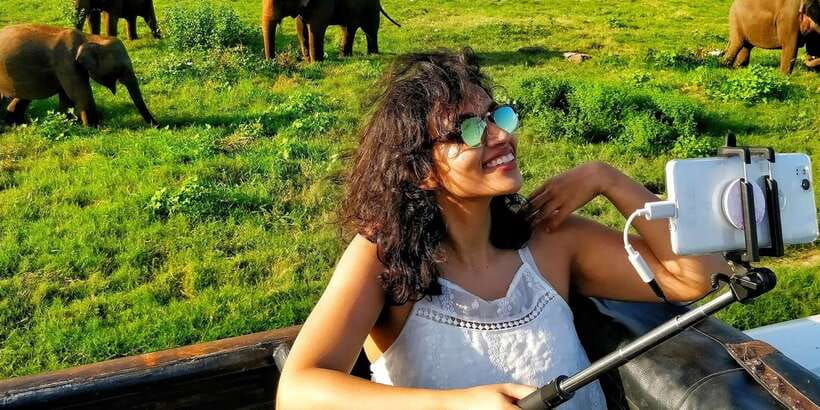 From Colombo: Private Minneriya National Park Day Safari - Private safari time: how the 4x4 game drive plays out