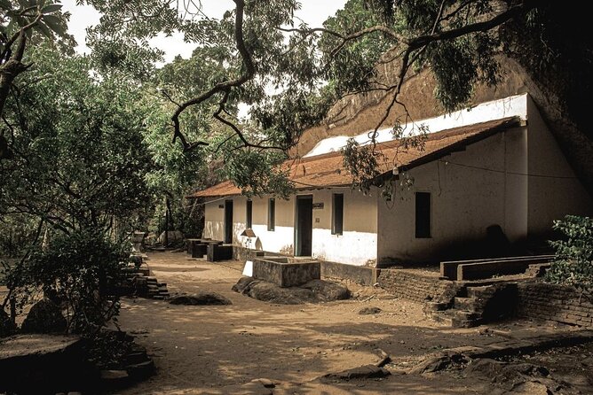 From Colombo to Sigiriya Fortress, Dambulla & Minneriya Safari - Private group service: comfort, photos, and the difference a good driver makes