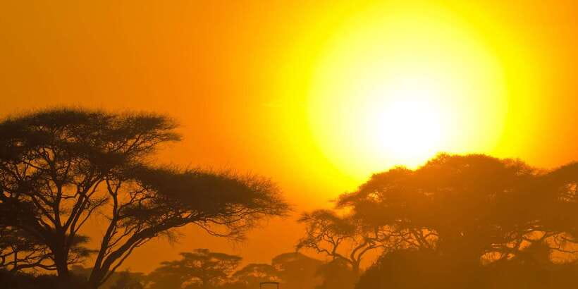 From Colombo: Yala National Park Safari with Transfer - The Colombo-to-Yala Transfer: Comfort First, Then Off-Road