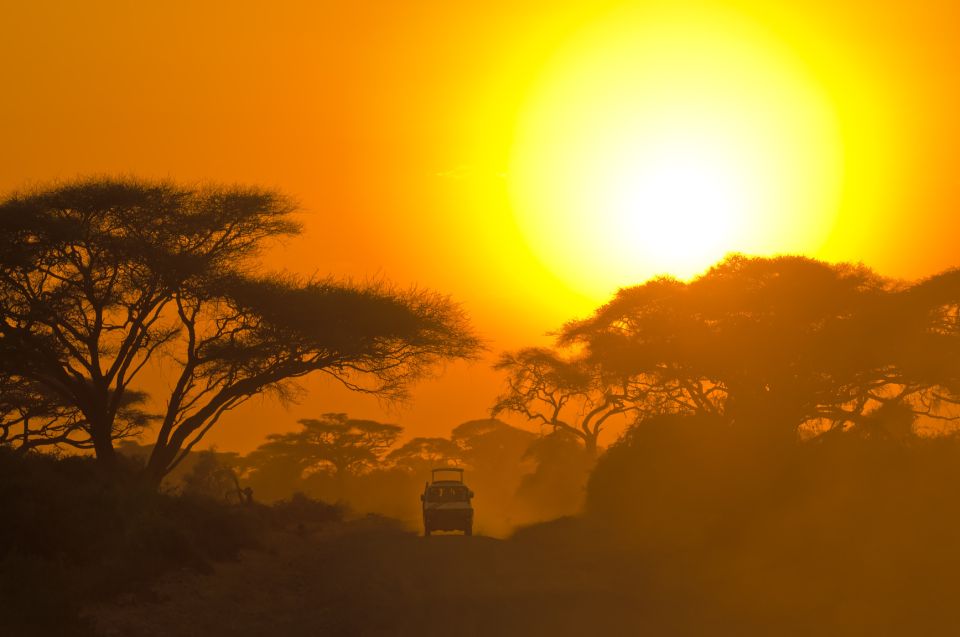 From Colombo: Yala National Park Safari with Transfer - Your Drivers and the Pace: On-Time Pickup to Bumpy Safari Fun