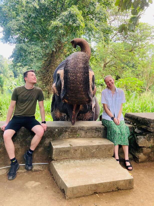 From Kandy : Pinnawala Elephant Orphanage & Ambuluwawa Tower - Key highlights you’ll remember