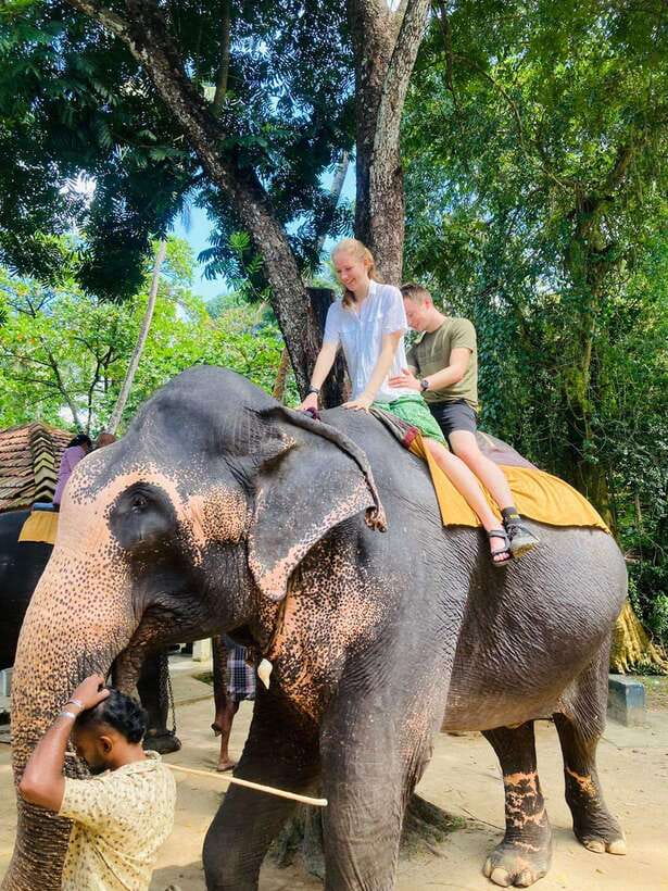 From Kandy : Pinnawala Elephant Orphanage & Ambuluwawa Tower - Kandy Gardens, Gem Museum, and Viewpoints: Using the Clock Well